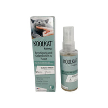 Load image into Gallery viewer, KOOLKAT Home Spray - Calms cats at home
